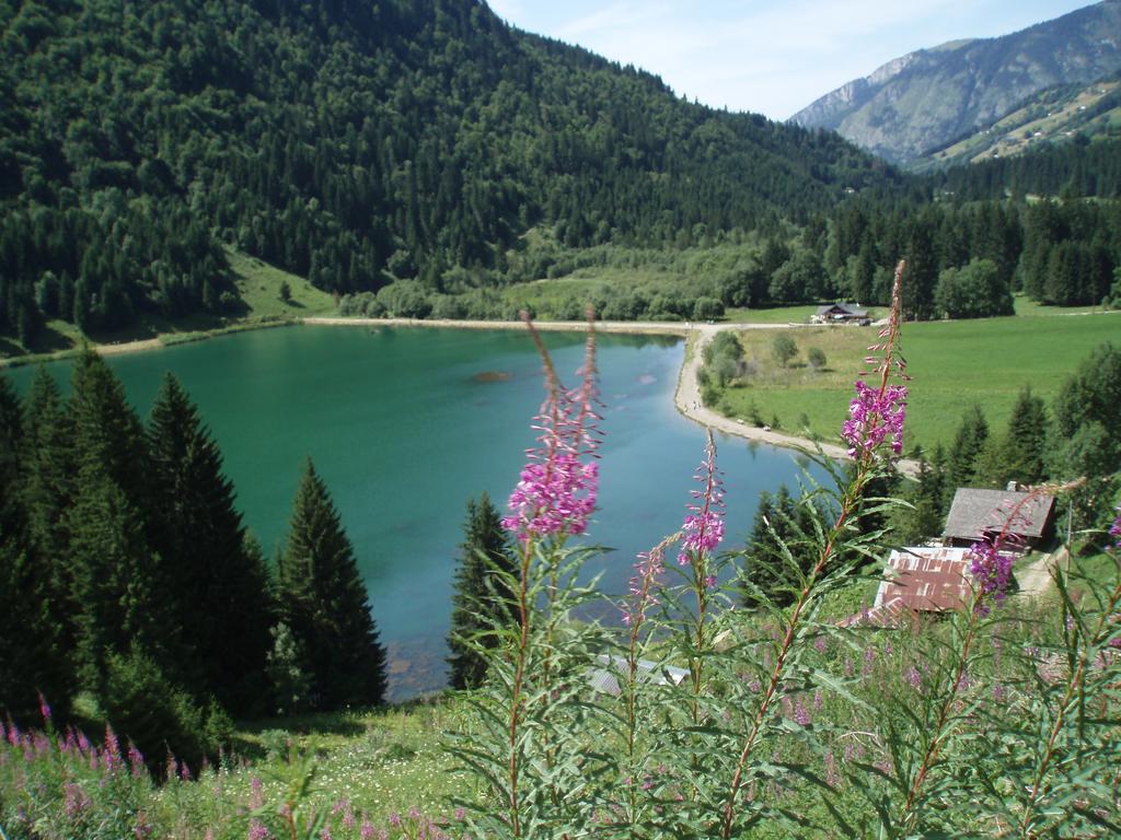 Le Clos Des Fontaines, A 5 Mn Du Lac Thonon-les-Bains Eksteriør billede