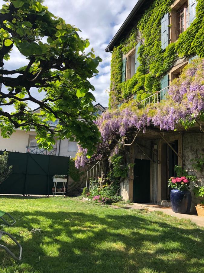 Le Clos Des Fontaines, A 5 Mn Du Lac Thonon-les-Bains Eksteriør billede